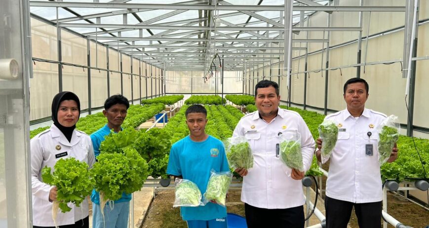 Hidroponik Batam oleh Sello Green Farm